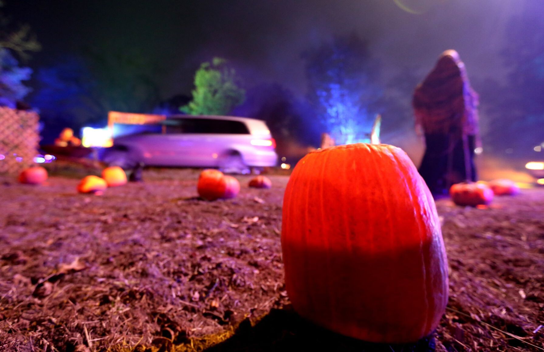 Grant's Farm Halloween Drive-Thru Experience
